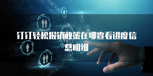 钉钉轻松报销政策在哪查看进度信息明细