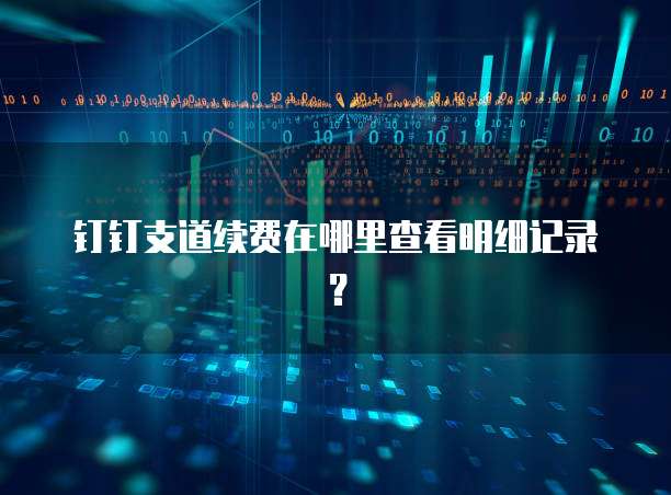 钉钉支道续费在哪里查看明细记录？