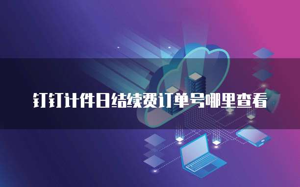 钉钉计件日结续费订单号哪里查看