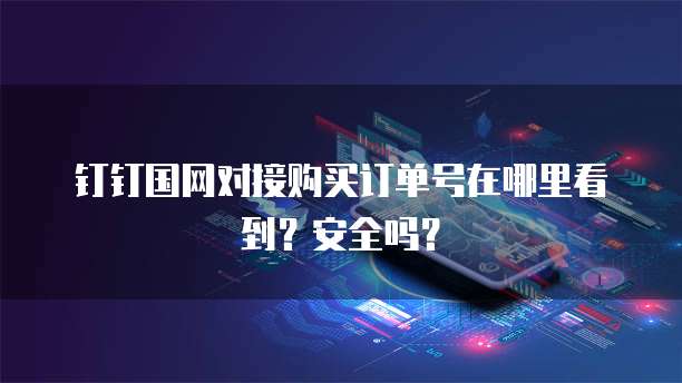 钉钉国网对接购买订单号在哪里看到?安全吗?