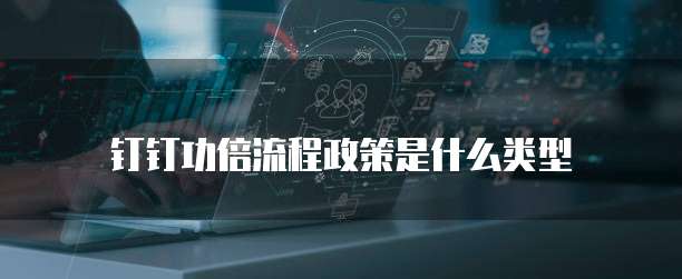钉钉功倍流程政策是什么类型