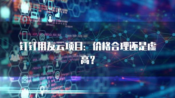 钉钉用友云项目：价格合理还是虚高？