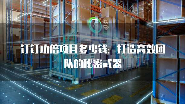 钉钉功倍项目多少钱:打造高效团队的秘密武器