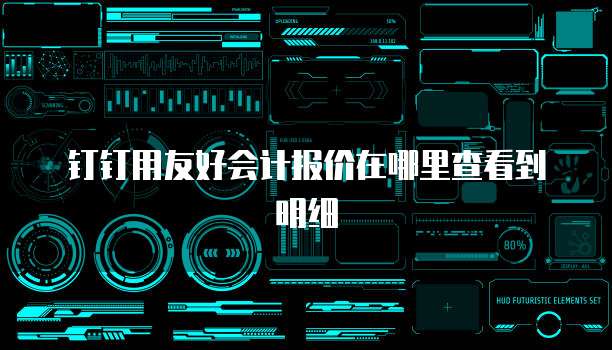 钉钉用友好会计报价在哪里查看到明细