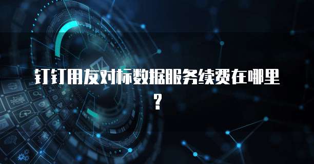 钉钉用友对标数据服务续费在哪里?