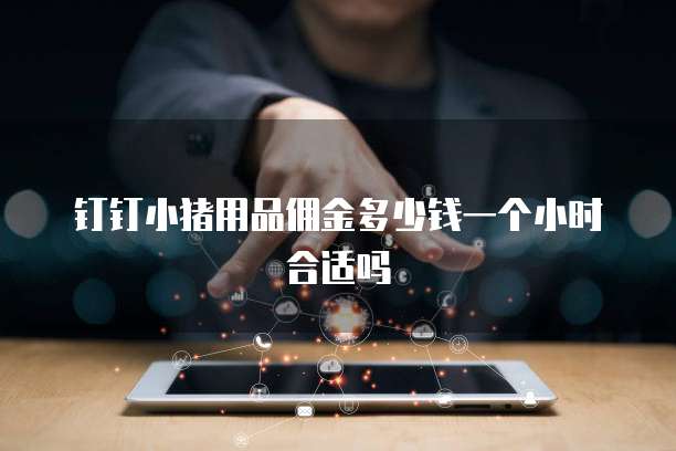 钉钉小猪用品佣金多少钱一个小时合适吗