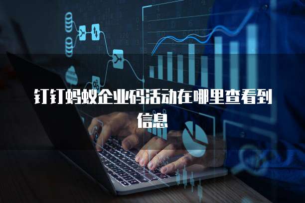 钉钉蚂蚁企业码活动在哪里查看到信息