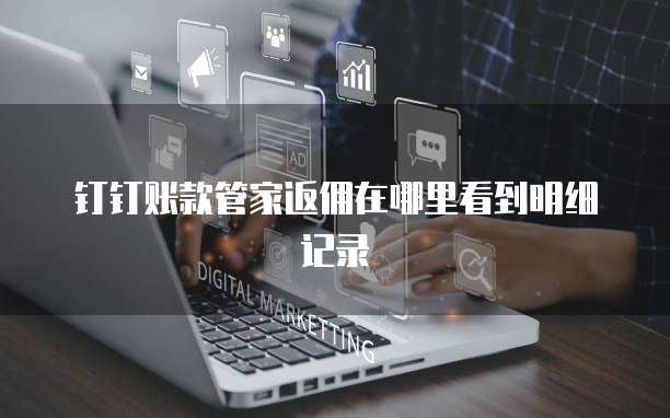 钉钉账款管家返佣在哪里看到明细记录