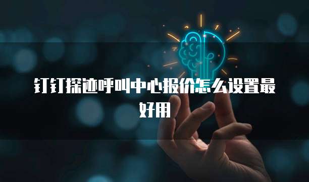 钉钉探迹呼叫中心报价怎么设置最好用