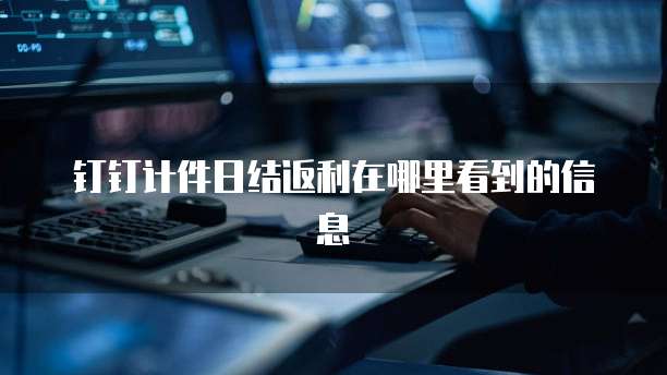 钉钉计件日结返利在哪里看到的信息