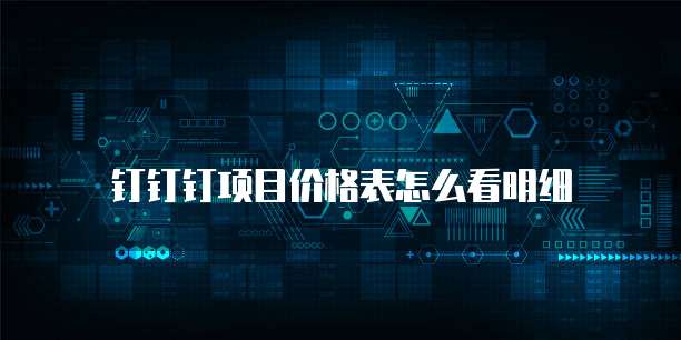 钉钉钉项目价格表怎么看明细