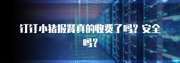 钉钉小猪报餐真的收费了吗?安全吗?
