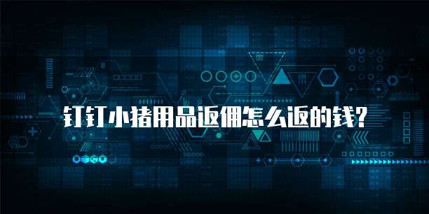 钉钉小猪用品返佣怎么返的钱?