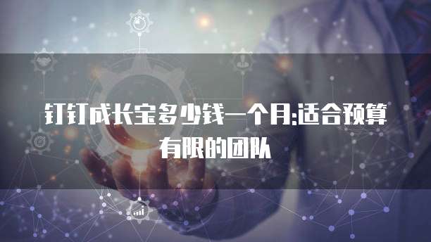 钉钉成长宝多少钱一个月:适合预算有限的团队