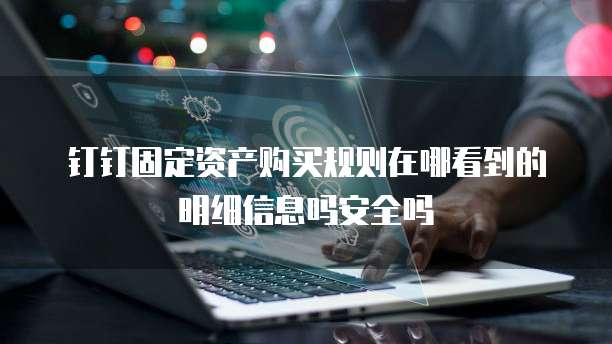 钉钉固定资产购买规则在哪看到的明细信息吗安全吗