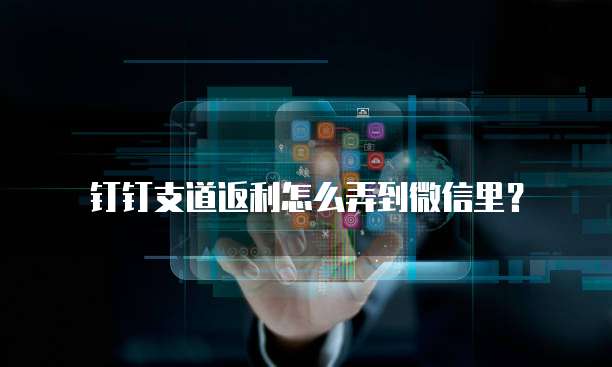 钉钉支道返利怎么弄到微信里?