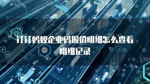 钉钉蚂蚁企业码报价明细怎么查看明细记录
