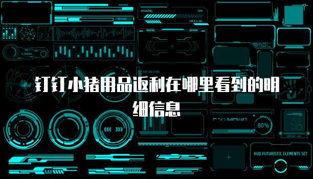 钉钉小猪用品返利在哪里看到的明细信息