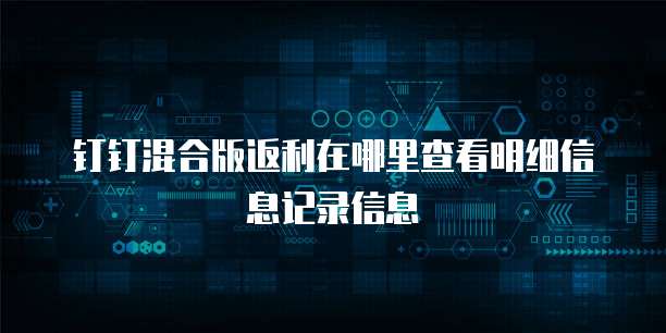 钉钉混合版返利在哪里查看明细信息记录信息