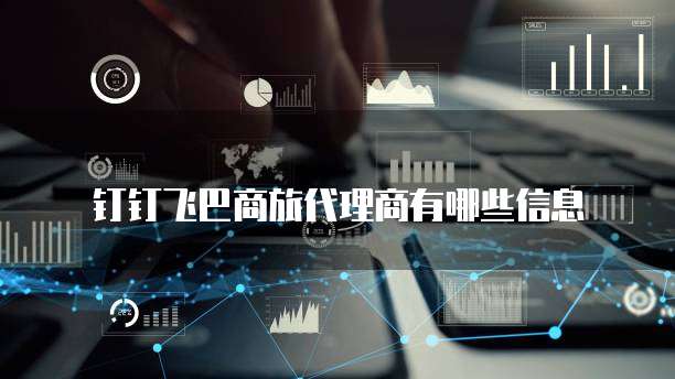 钉钉飞巴商旅代理商有哪些信息