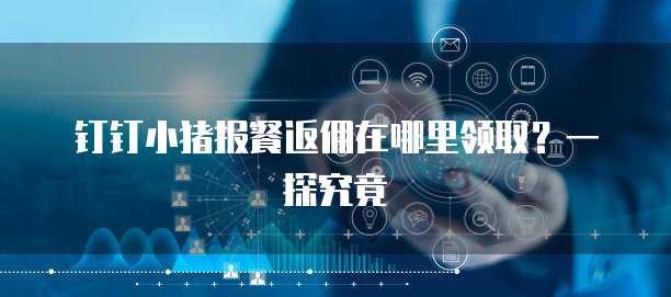 钉钉小猪报餐返佣在哪里领取?一探究竟