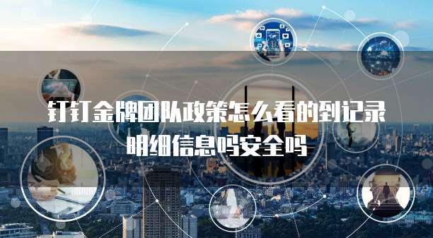 钉钉金牌团队政策怎么看的到记录明细信息吗安全吗