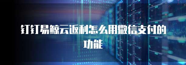 钉钉易鲸云返利怎么用微信支付的功能