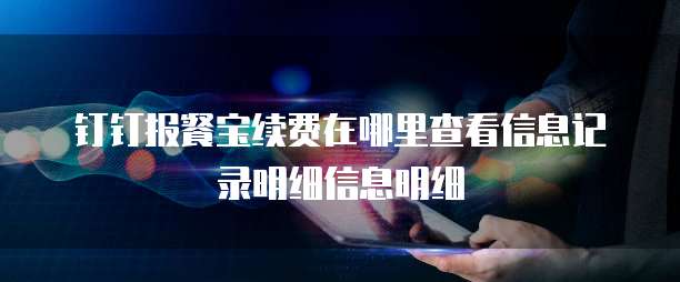 钉钉报餐宝续费在哪里查看信息记录明细信息明细