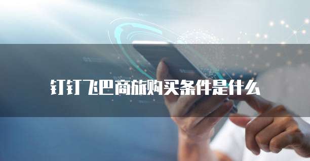 钉钉飞巴商旅购买条件是什么