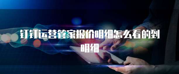 钉钉运营管家报价明细怎么看的到明细