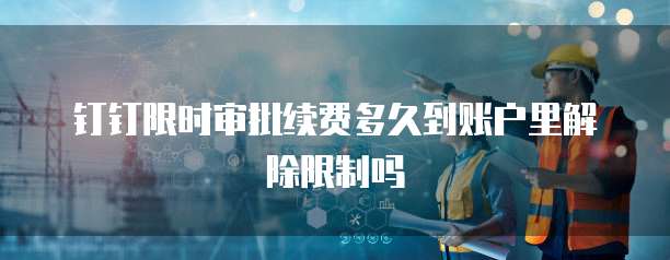 钉钉限时审批续费多久到账户里解除限制吗