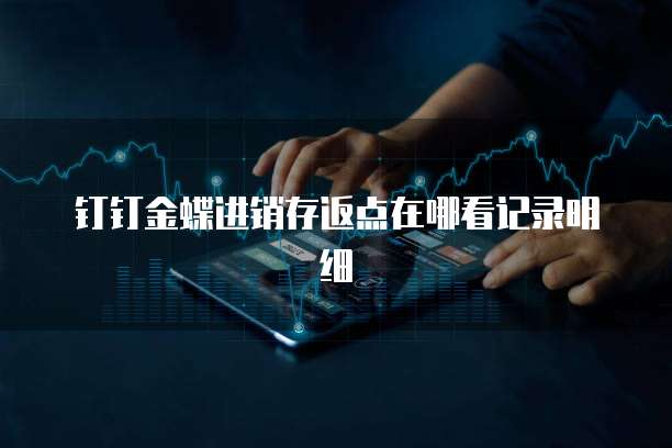 钉钉金蝶进销存返点在哪看记录明细