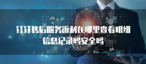 钉钉售后服务返利在哪里查看明细信息记录吗安全吗