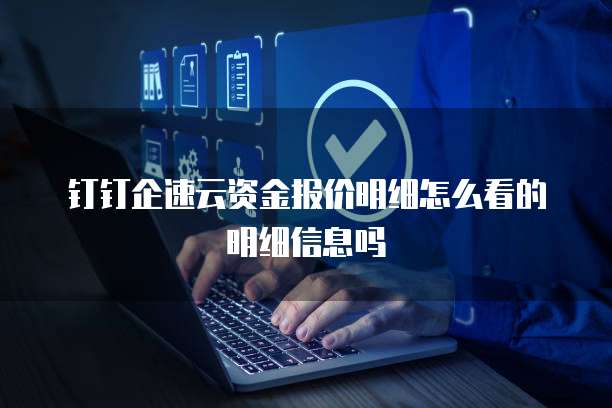 钉钉企速云资金报价明细怎么看的明细信息吗