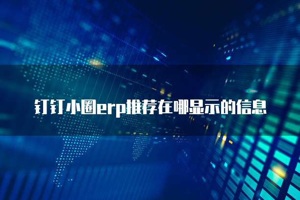 钉钉小圈erp推荐在哪显示的信息