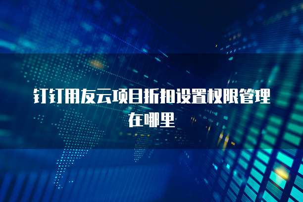 钉钉用友云项目折扣设置权限管理在哪里
