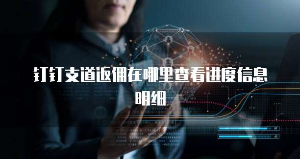 钉钉支道返佣在哪里查看进度信息明细