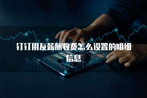 钉钉用友薪酬收费怎么设置的明细信息