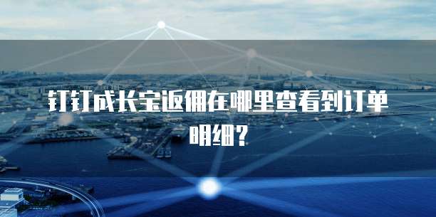 钉钉成长宝返佣在哪里查看到订单明细?
