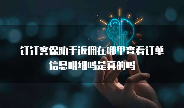 钉钉客保助手返佣在哪里查看订单信息明细吗是真的吗