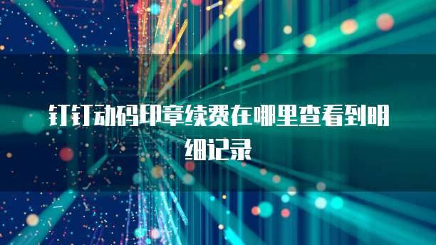 钉钉动码印章续费在哪里查看到明细记录