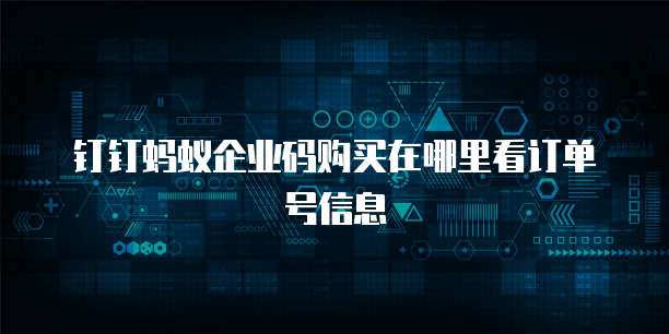 钉钉蚂蚁企业码购买在哪里看订单号信息