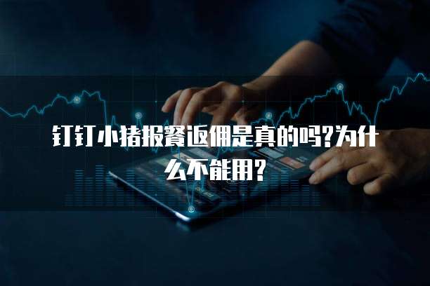 钉钉小猪报餐返佣是真的吗?为什么不能用?
