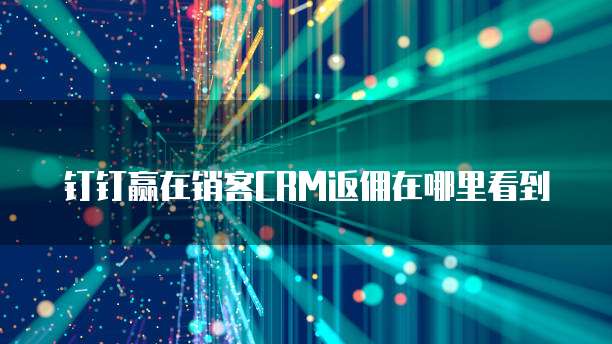钉钉赢在销客CRM返佣在哪里看到