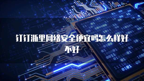 钉钉浙里网络安全便宜吗怎么样好不好