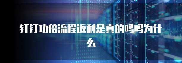 钉钉功倍流程返利是真的吗吗为什么