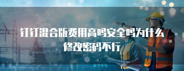 钉钉混合版费用高吗安全吗为什么修改密码不行