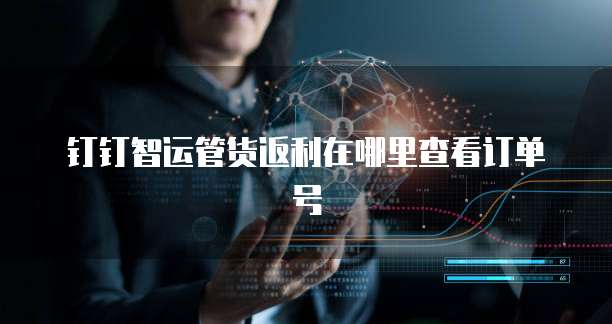 钉钉智运管货返利在哪里查看订单号