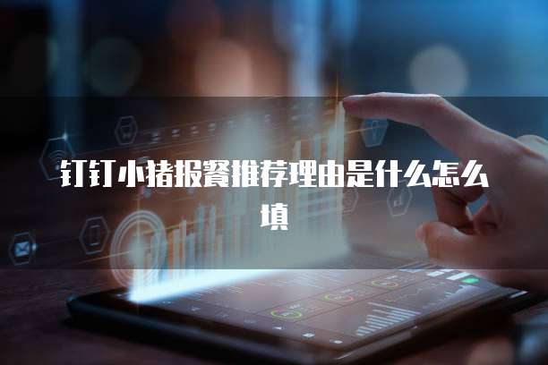 钉钉小猪报餐推荐理由是什么怎么填