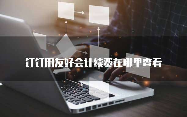钉钉用友好会计续费在哪里查看